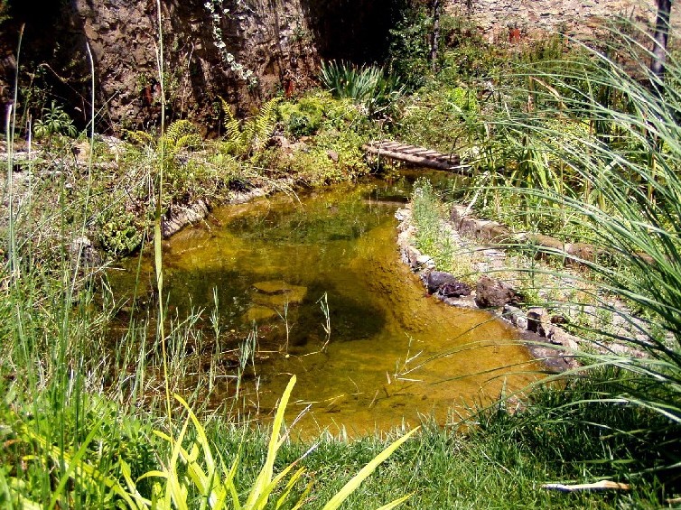 Il Laghetto del Centro di Entomologia - Piombino (LI)